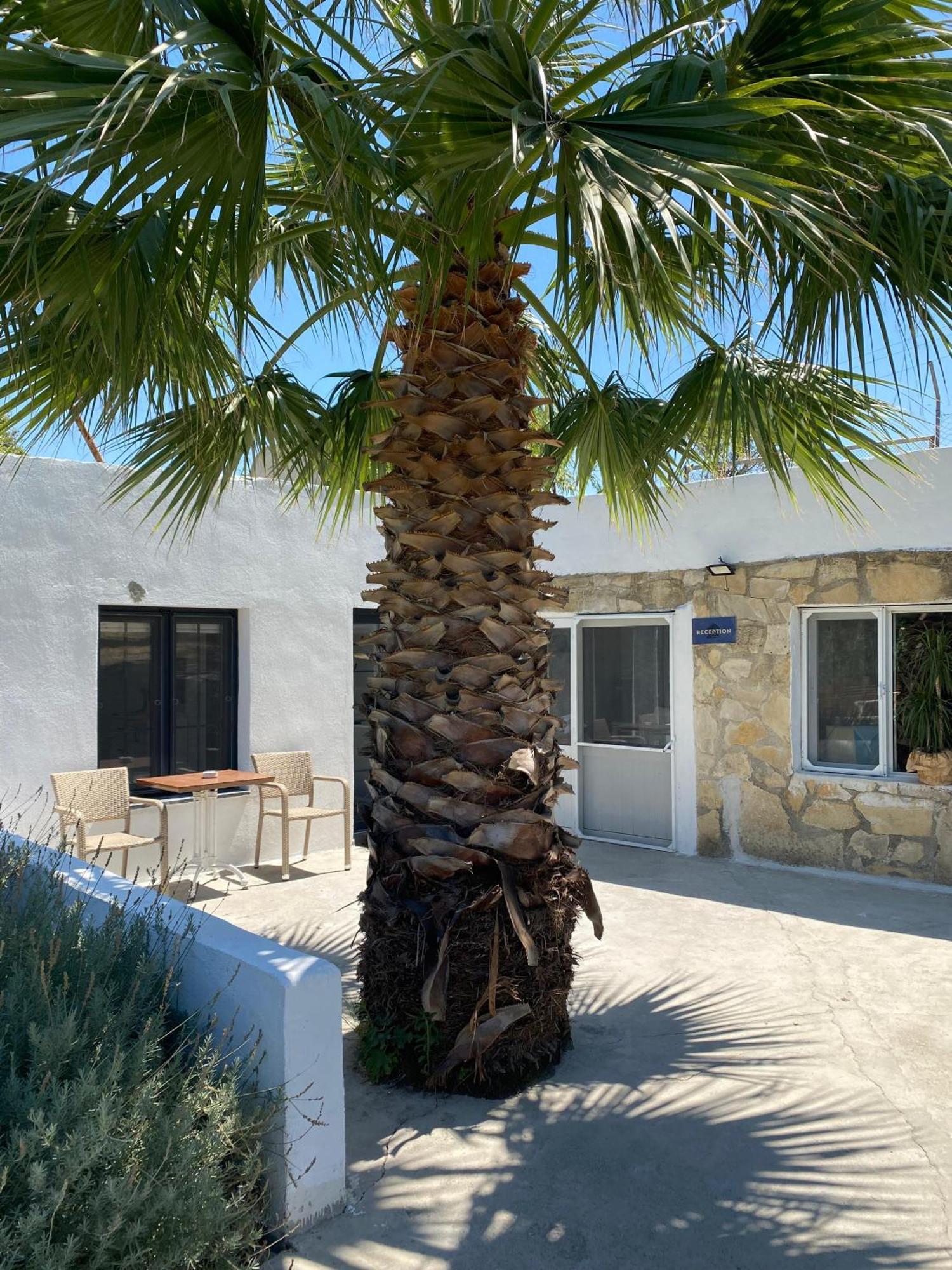 Erdem Ciftligi/ Ephesus Arena Apartment Selcuk Exterior photo